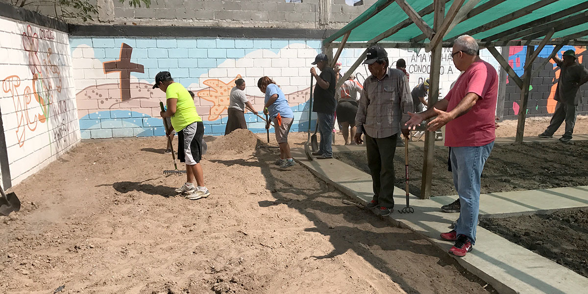 Getting the garden in Naranjito ready for the fall Getting the garden in Naranjito ready for the fall