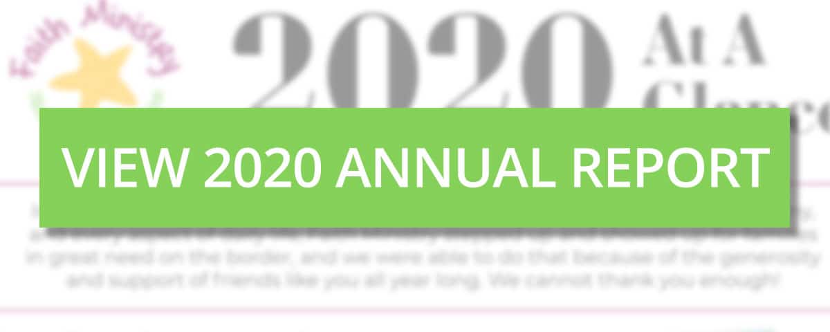 View 2020 Annual Report